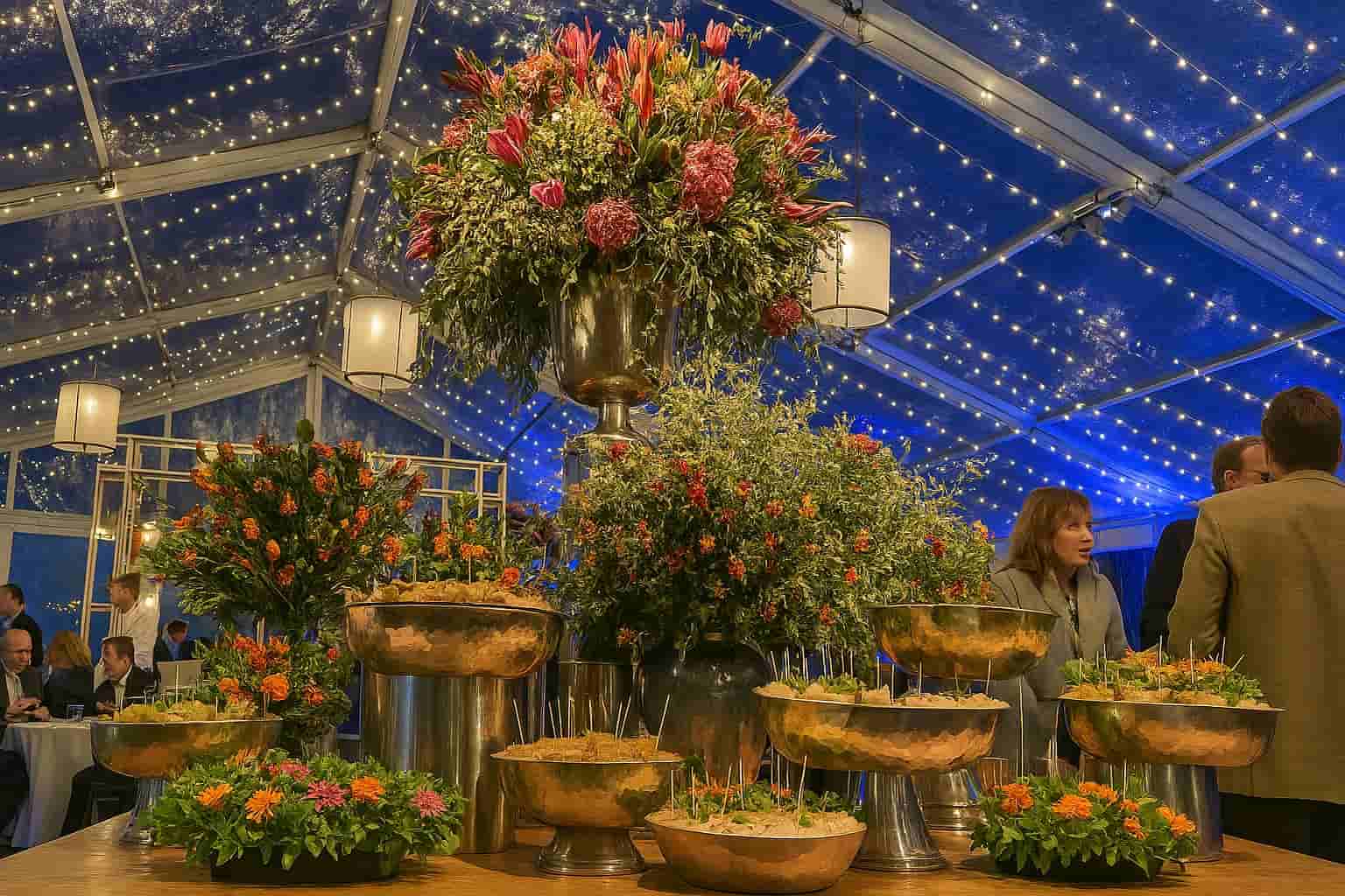 Carpas para fiestas familiares